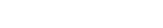 Slin Logo
